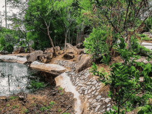 kbr national park hyderabad