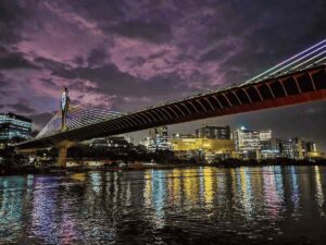 durgam cheruvu bridge hyderabad
